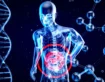 Szkeptikus és lelkes orvosok: a mikrobiom tesztek megítélése